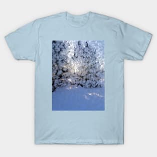 Frost T-Shirt